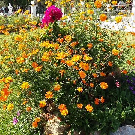 2-bedroom Aparnt Anna Manolaki Aparthotel Vourvourou