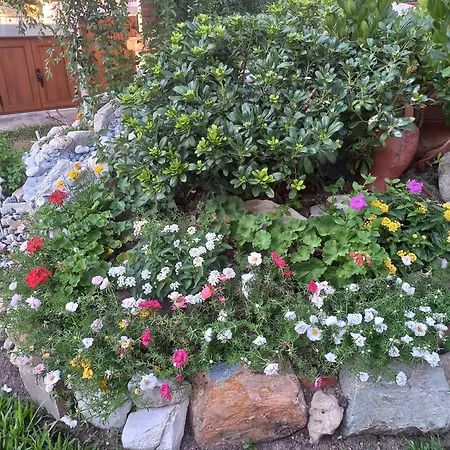 Hotel de apartamente Anna -house Maria Manolaki, 2-βedrm Vourvourou